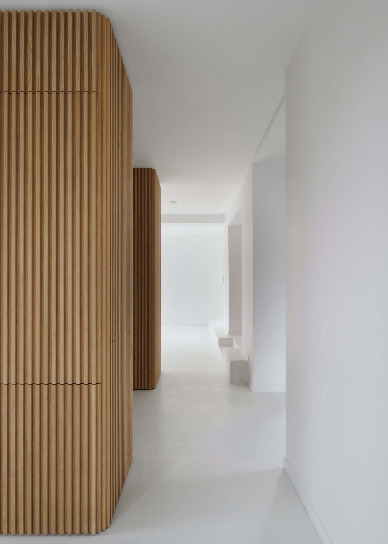 maison S - heros architecture architecte intérieur parisien paris appartement logement rénovation réhabilitation extension restructuration minimaliste design épuré le perreux sur marne maison surélévation