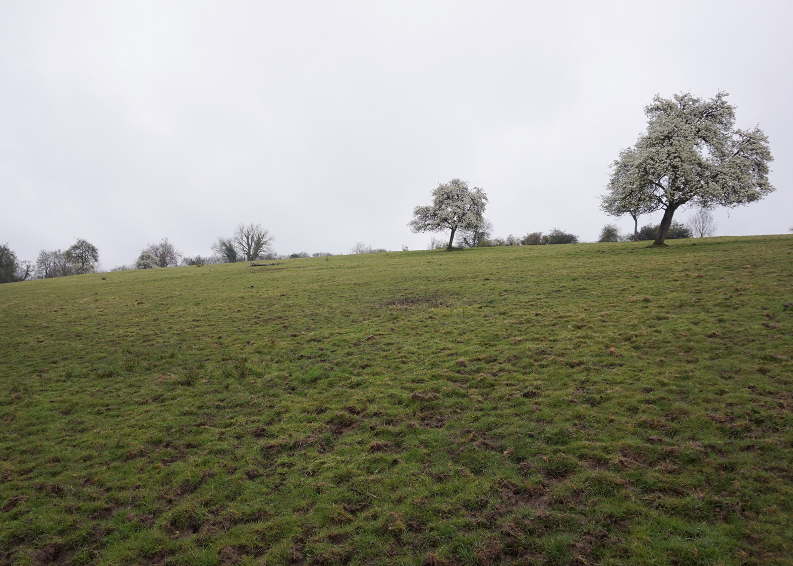 le vallon du bonheur